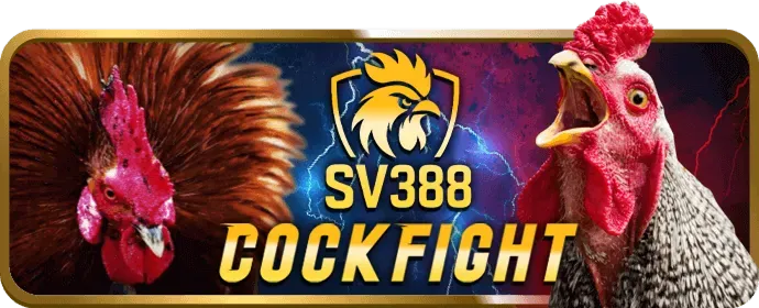 Cá cược thể thao trên 99vin APK